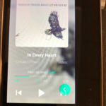 Blocks forward button